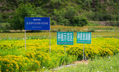 人生就是博_首页