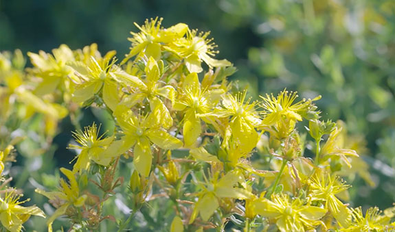 人生就是博_首页