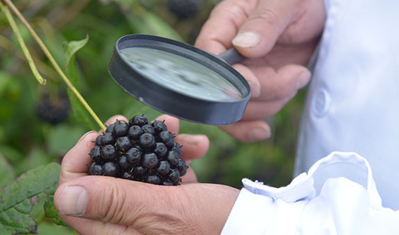 人生就是博_首页