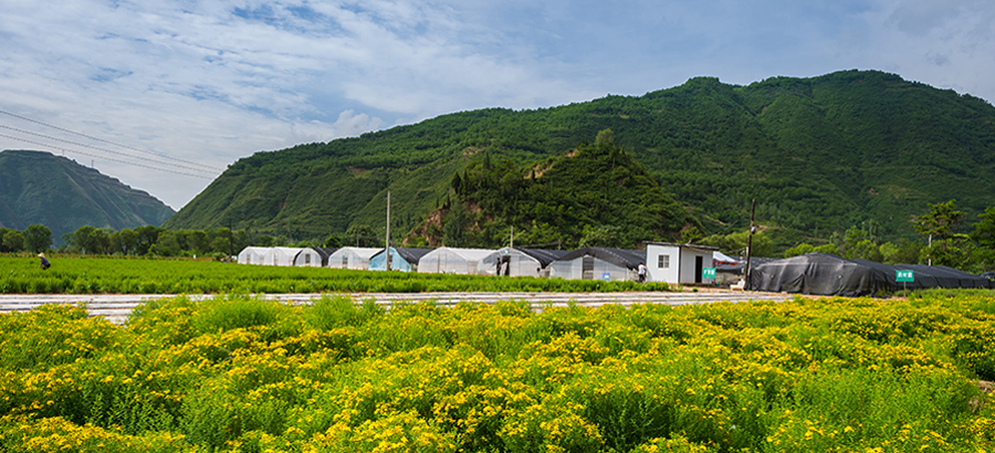 人生就是博_首页